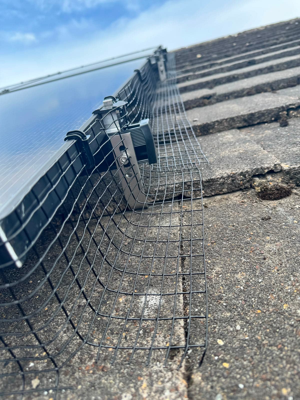 Bird-proof wire mesh fitted along the bottom edge of the solar panel array