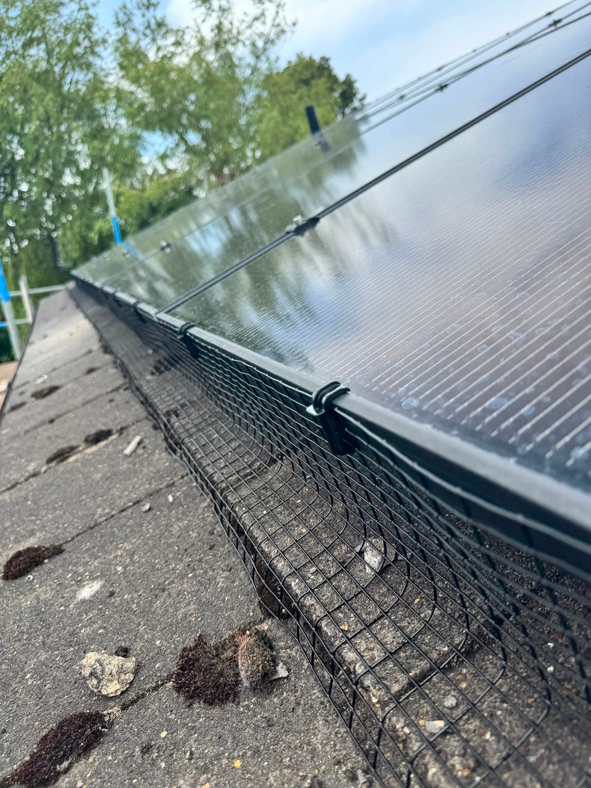 Close-up of bird-proof mesh clipped to the solar panel frame edge