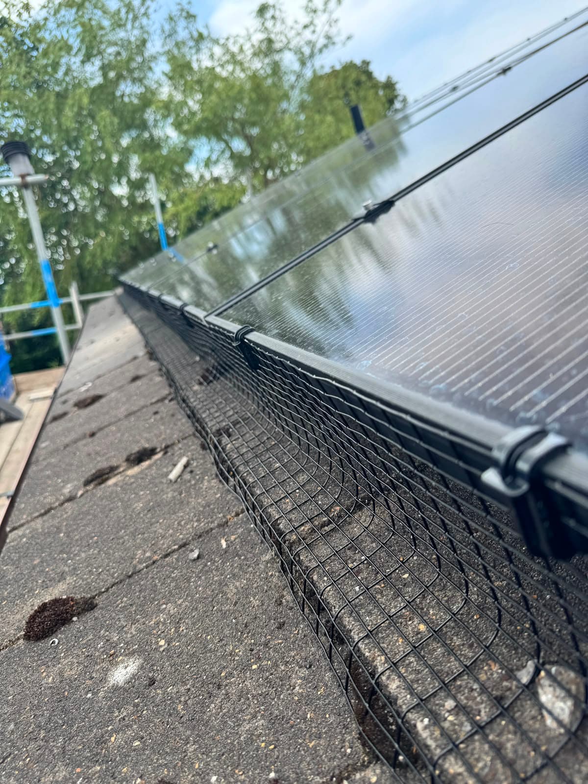 Bird-proof mesh detail showing clips securing the guard to the panel frame