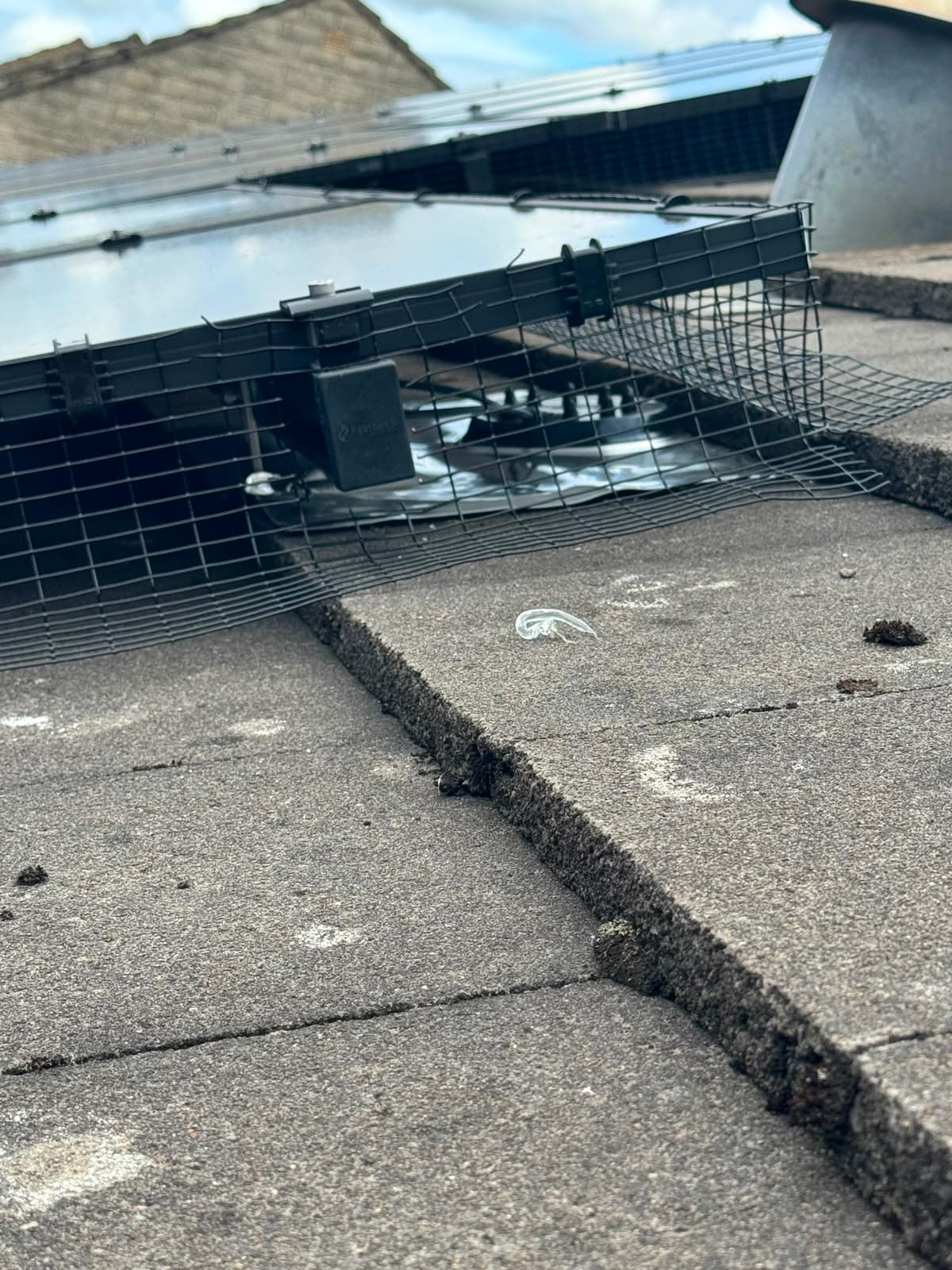 Bird-proof mesh fitted around the perimeter of the solar panels on a tiled roof