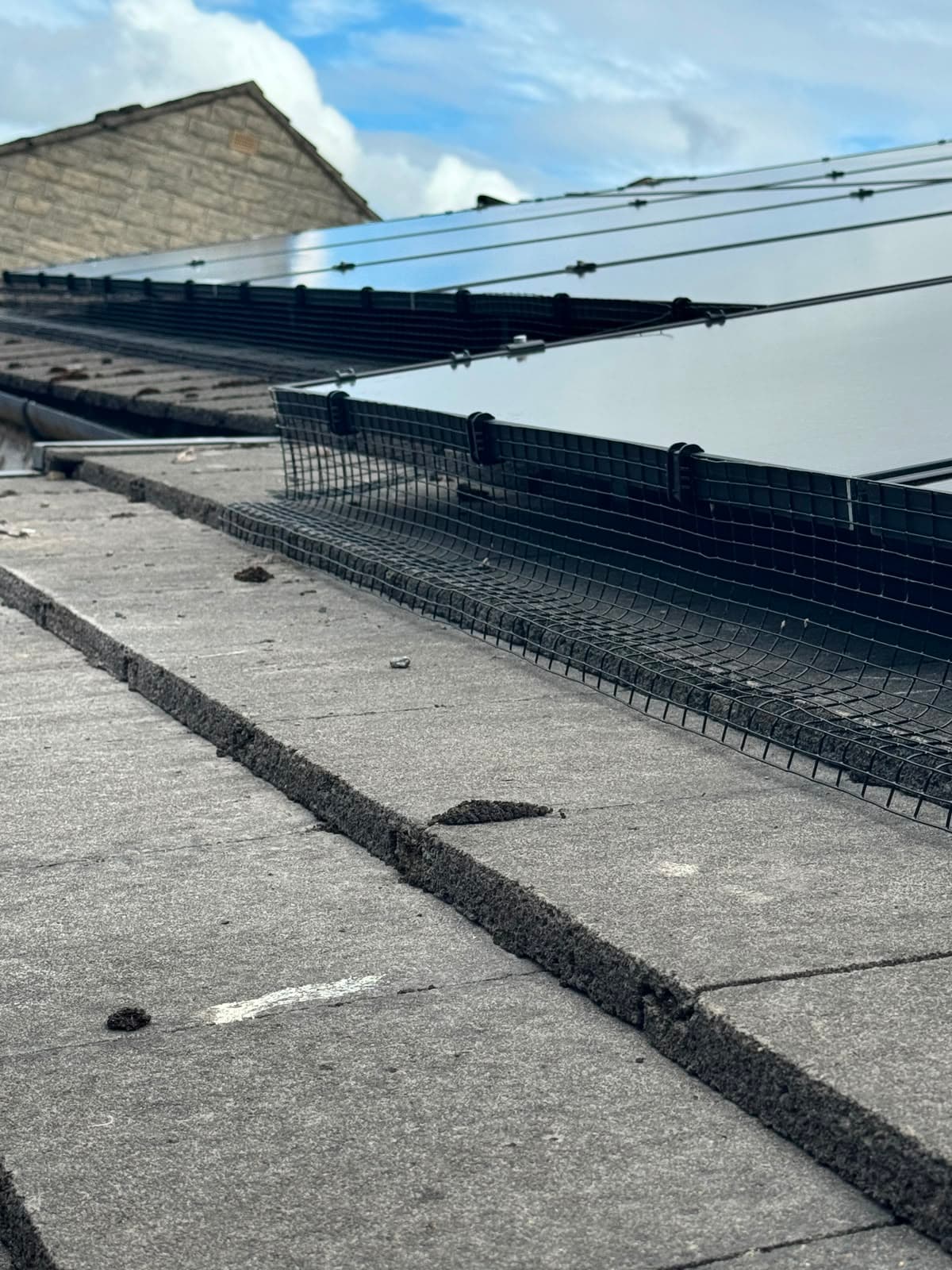 Detail of bird-proof mesh and panel frame clip on roof tiles