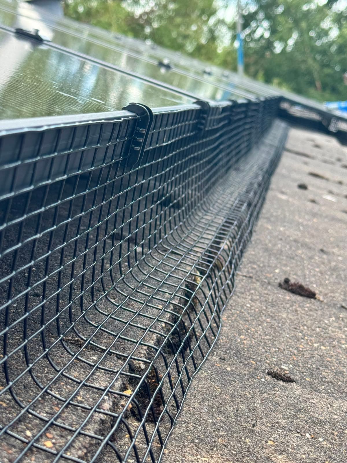 Bird-proof mesh guard along the solar panel edge with neighbouring roof in background